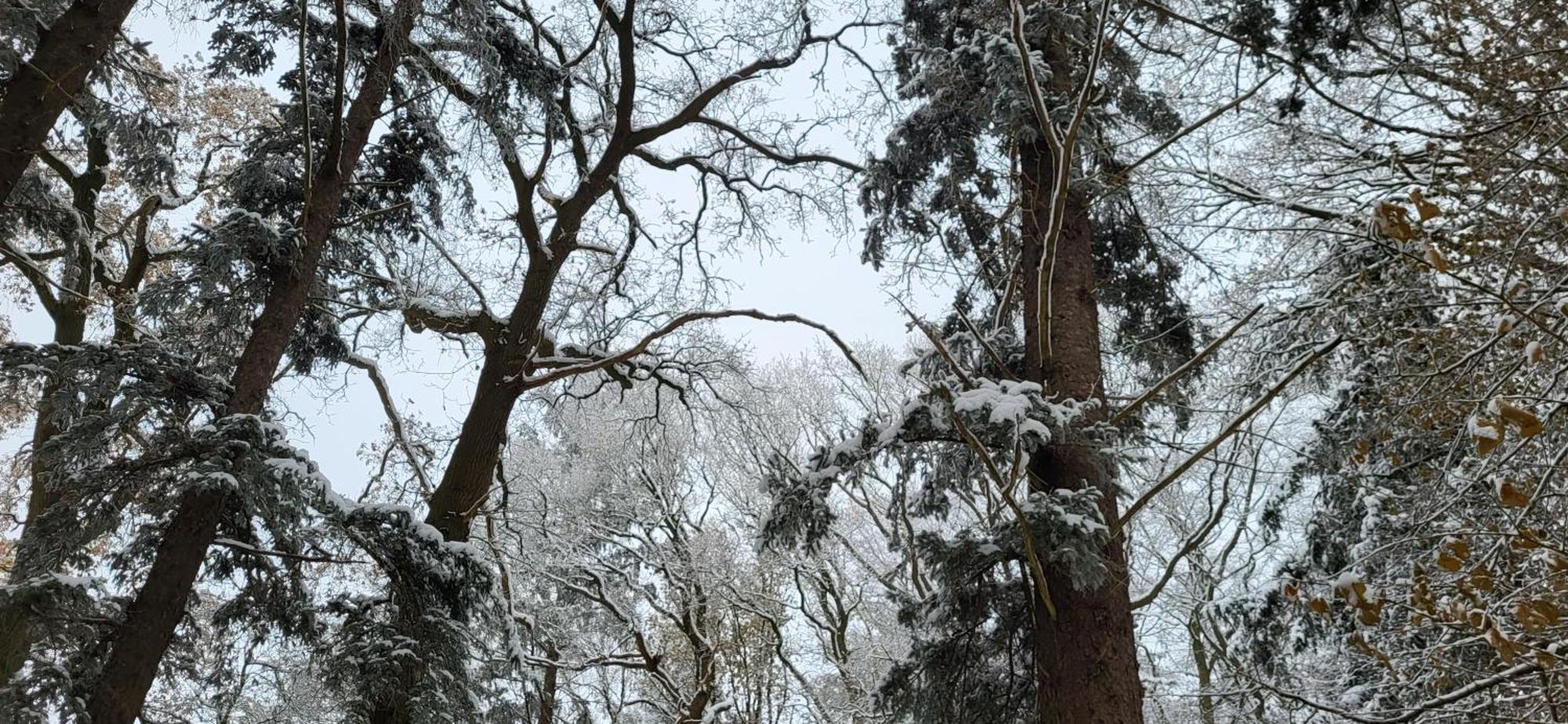 Villa Haus Theda Fockbek Esterno foto